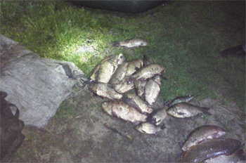 Варварский электрический лов рыбы широко применяют браконьеры на водоемах Славянского района