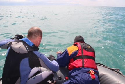 В Сочи в Черном море спасатели МЧС освободили из сетей дельфина