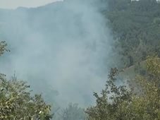 В районе Геленджика горит лесной массив