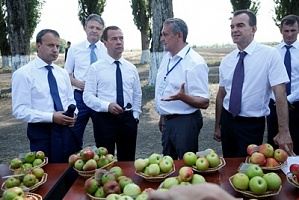 Сегодня премьер-министр Дмитрий Медведев находится с рабочим визитом в Краснодарском крае