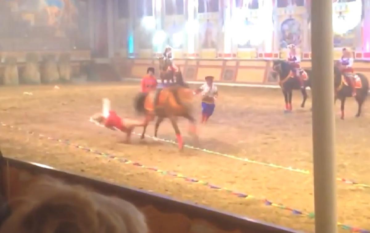 Следствие в Новороссийске проводит проверку по факту гибели девушки во время конного выступления
