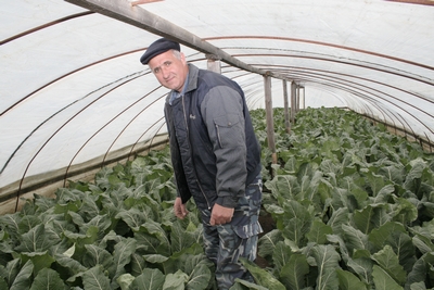 Фермеры рассказали губернатору Кубани о проблемах, с которыми сталкиваются в повседневной жизни