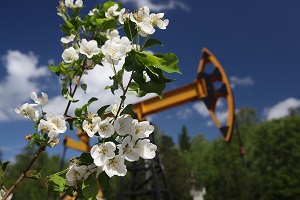 «Роснефть» направила на охрану окружающей среды в 2014 г. почти 59 млрд рублей