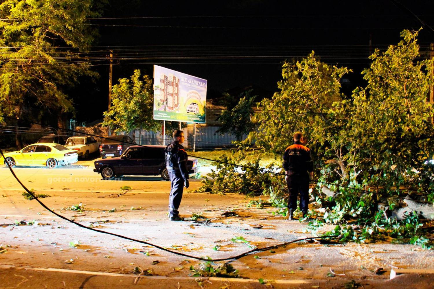 Ураган в Новороссийске обрушил огромное дерево на трассу