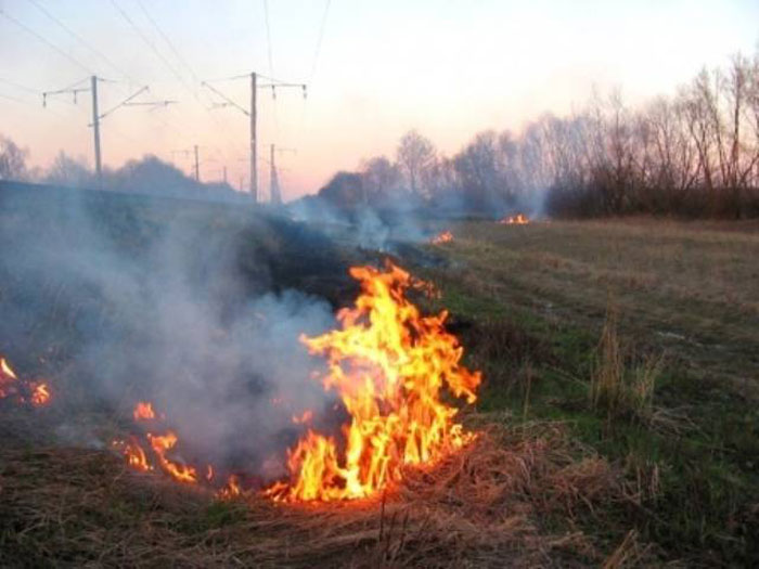 В России станет меньше природных пожаров