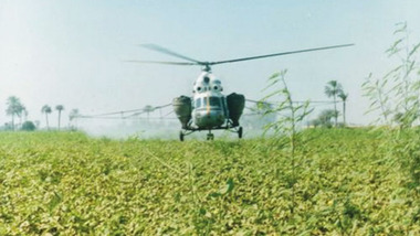 Трагедией закончилась посадка вертолета в Славянске-на-Кубани