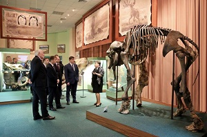 Нефтяники помогли возвратить мамонта в Таймырский краеведческий музей /ФОТО/