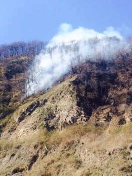 Сразу несколько возгораний лесной подстилки ликвидировали пожарные Кубани