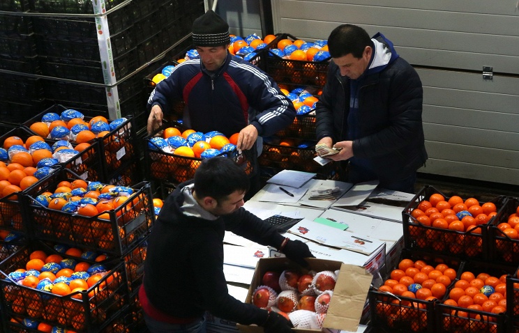 Начались организованные поставки в Россию овощей и фруктов из Сирии