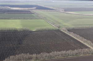 На 3 июня из общей площади 2,5 млн га сельхозугодий на полях Кубани подтоплено более 20 тыс га