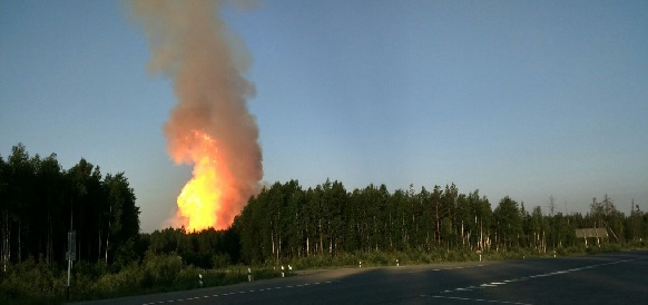 Порыв газопровода стал причиной большого лесного пожара в Свердловской области