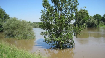 МЧС предупреждает о накате паводочной волны в нижнем течении реки Лаба