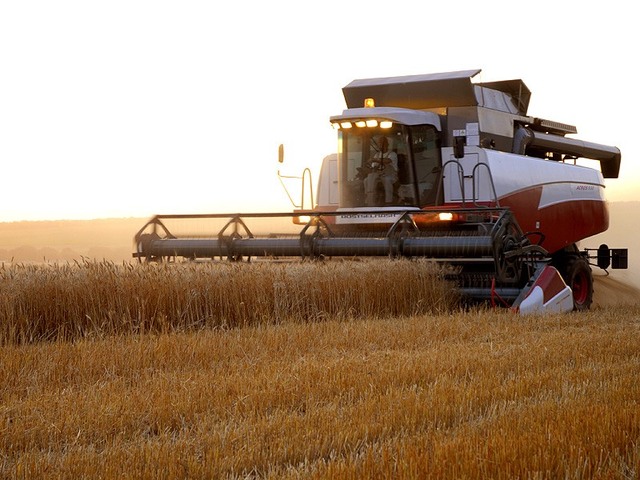 Более 3 млн тонн зерна нового урожая собрано с начала уборки-2015 на Кубани