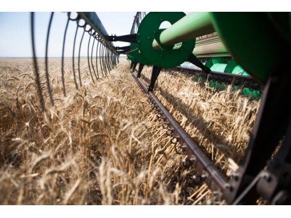 Есть на Кубани первый миллион тонн зерна урожая-2015
