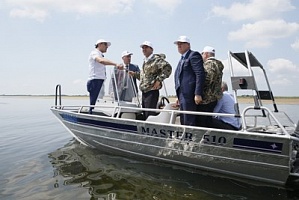 В 2015 - ом в рыбной отрасли Краснодарского края пресечена деятельность 15 преступных групп