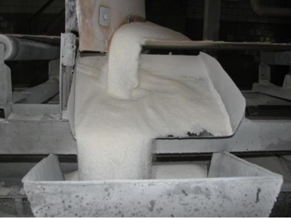 Заводы Кубани переработали 6 млн тонн сахарной свеклы