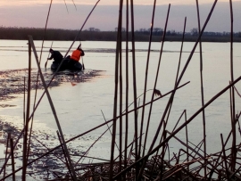 В Краснодарском крае задействовали группу водолазов для поиска пропавших на реке подростковОБНОВЛЕНО