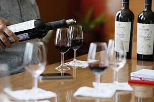 Почти 130 образцов молодого вина от 27 предприятий продегустировали виноделы Кубани