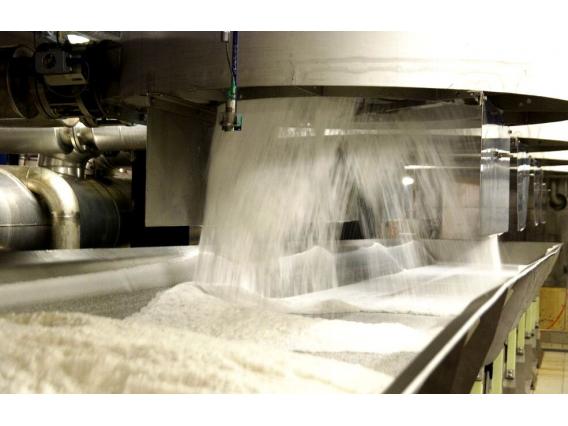 Кубань поставила по производству сахара абсолютный рекорд