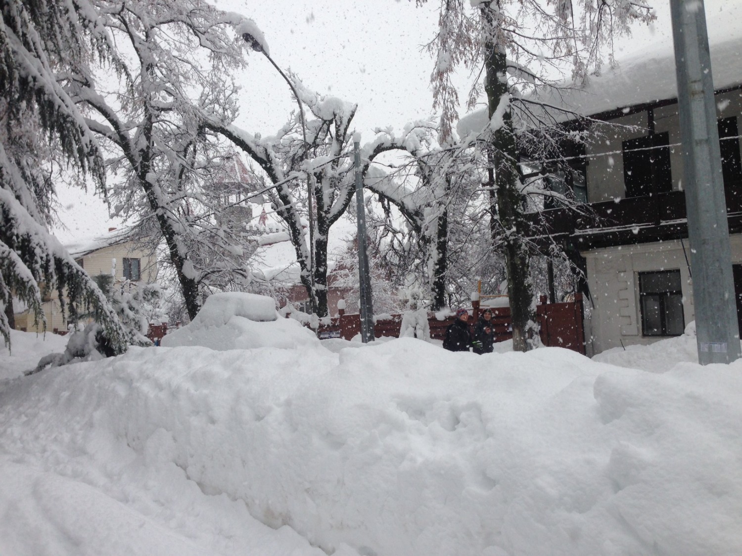 Из-за сильного снега ГАИ перекрыло движение на трассе Джубга - Сочи при въезде в город-курорт