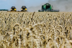 Краснодарский край -- лидер в РФ по производству сельхозпродукции в 2016 году