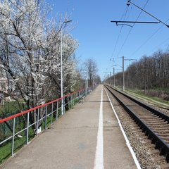Краснодар завершает обследование возможных площадок для остановочных платформ в рамках «наземного метро»