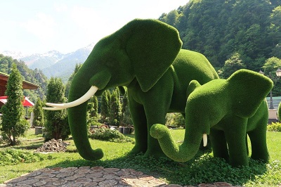 12 июня в горах Красной Поляны откроют фантастический парк «Зеленая планета»