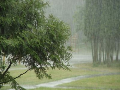 Сильнейший дождь подтопил более 20 придомовых территорий в г. Тимашевске на Кубани
