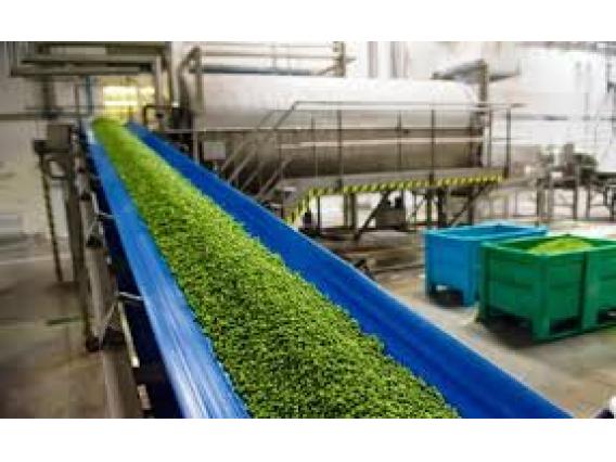 Кубань произвела свыше 200 млн условных банок зеленого горошка урожая-2017