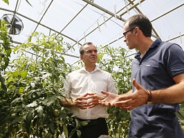 За счет автоматизации более чем на 10 кг увеличил урожайность помидор с кв. м кубанский овощевод