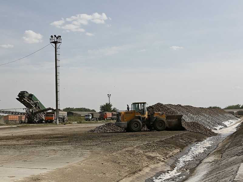 Первый миллион тонн сахарной свеклы урожая 2017 переработан на Кубани